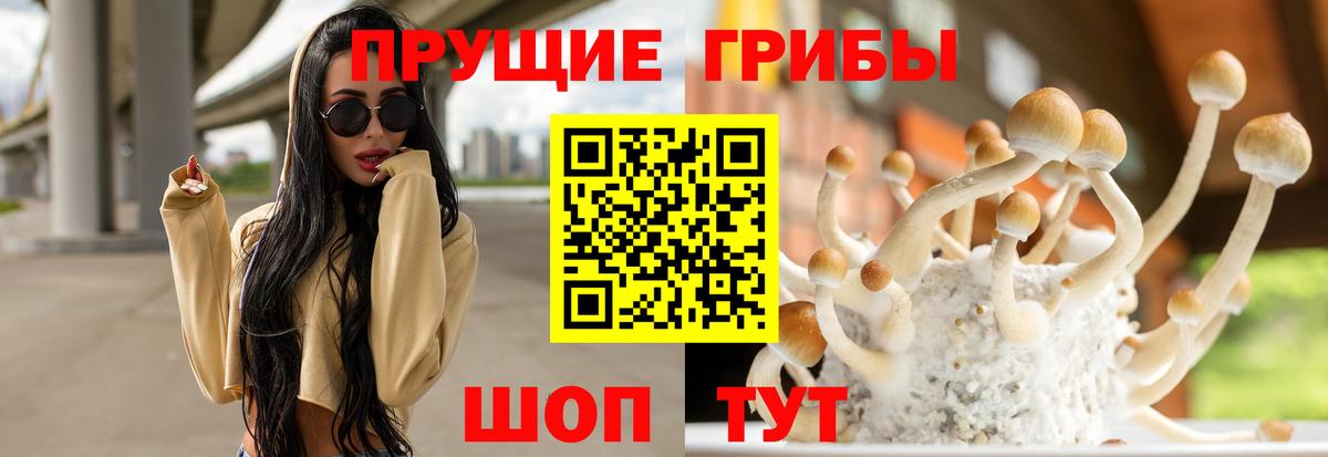 цена наркотик  Вход с VPN  Фурманов  Псилоцибиновые грибы мухоморы 